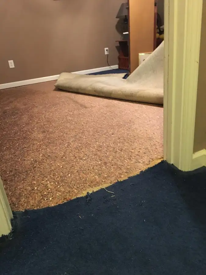 Carpet pad removal revealing water damage during Water Mitigation Services in Harwich